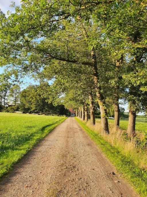 Leuk Boerderijtje Op Prachtige Plek, Nabij Natuurgebied Ruurlo Eksteriør billede